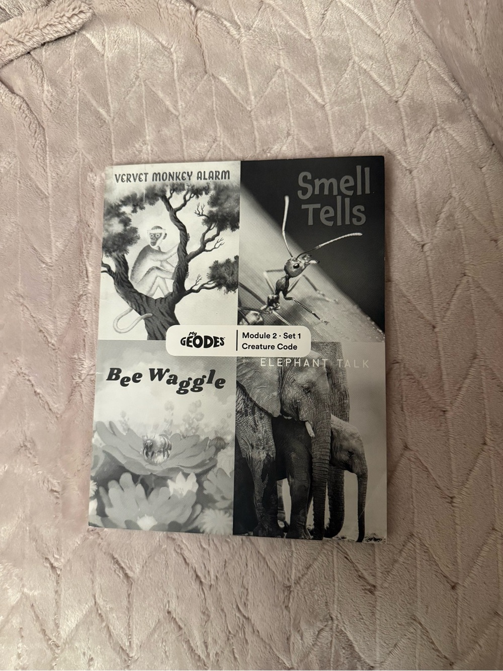 Creature Code Module 2 Set 1 - Bee Waggle / Smell Tells (Gray)